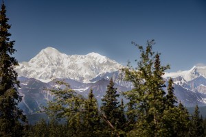 Alaska Web-00034